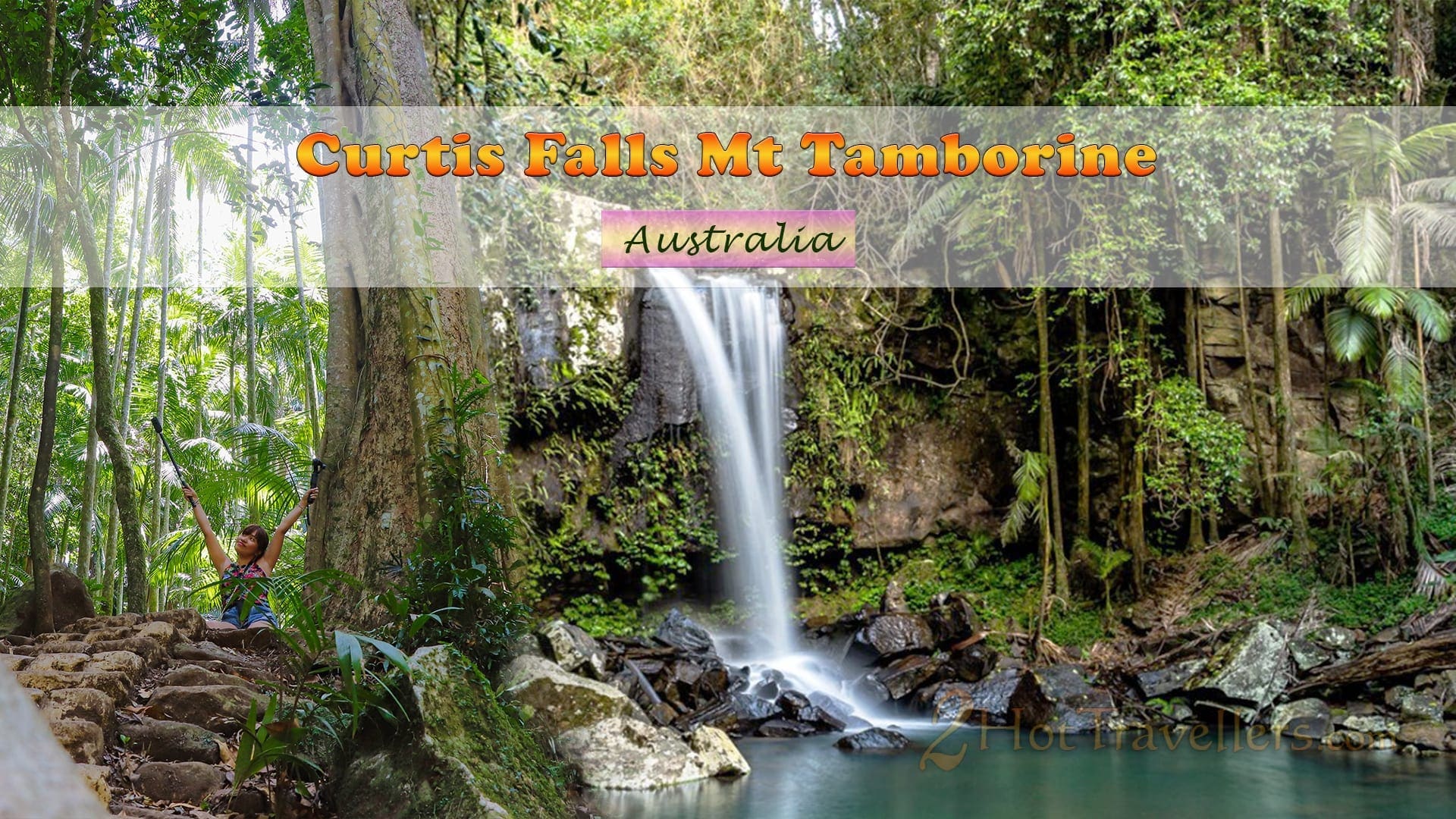 Curtis Falls Mt Tamborine: Amazing Gold Coast Hinterland ...