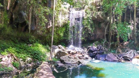 Curtis Falls Mt Tamborine: Amazing Gold Coast Hinterland Curtis Falls waterfalls