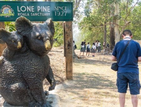 Travel Blog Australia - The Travel Guide To Australia Lone Pine Koala Sanctuary