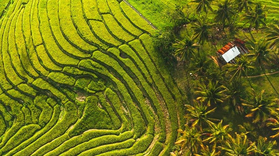 21 Philippines Tourist Spots that Look Like Foreign Destinations Philippines Tourist Spot - cadapdapan-rice-terraces