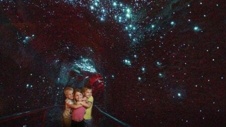 Curtis Falls Mt Tamborine: Amazing Gold Coast Hinterland glow worm caves at night