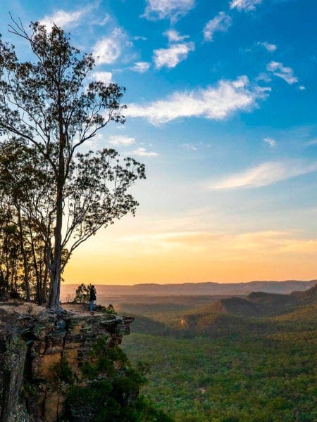Carnarvon Gorge Queensland Gorges