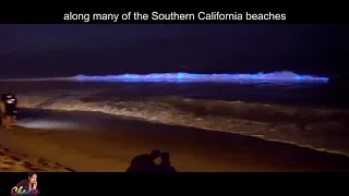 Glowing waves red tide California