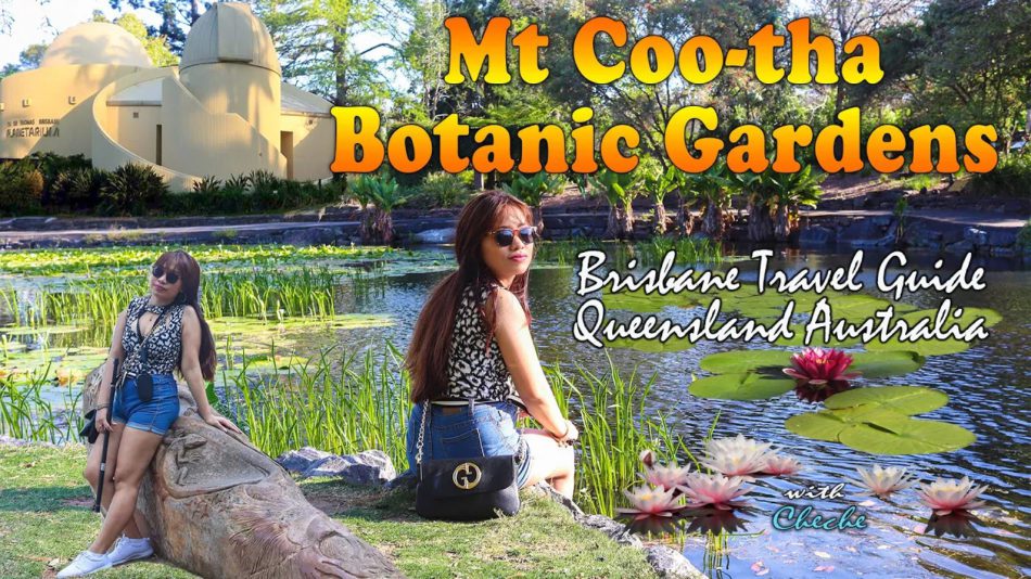 Mt Cootha Botanic Gardens Brisbane