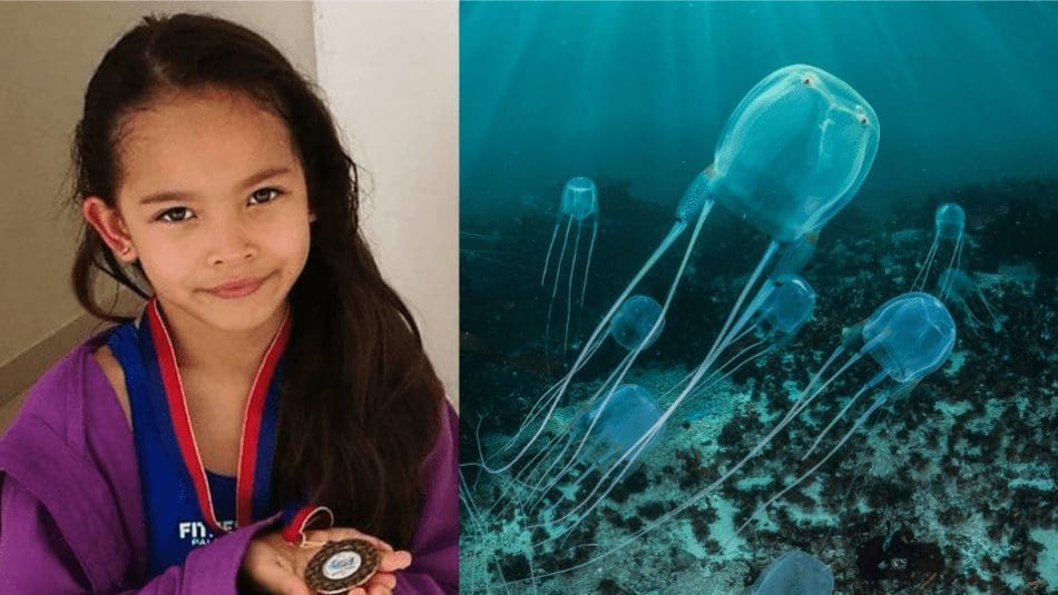Beware! Jellyfish season in the Philippines is a Killer Deadliest jellyfish kills young Fil-Italian swimmer in the Philippines