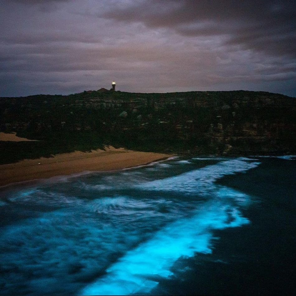 tide of blue during the night©️ Jamen Percy