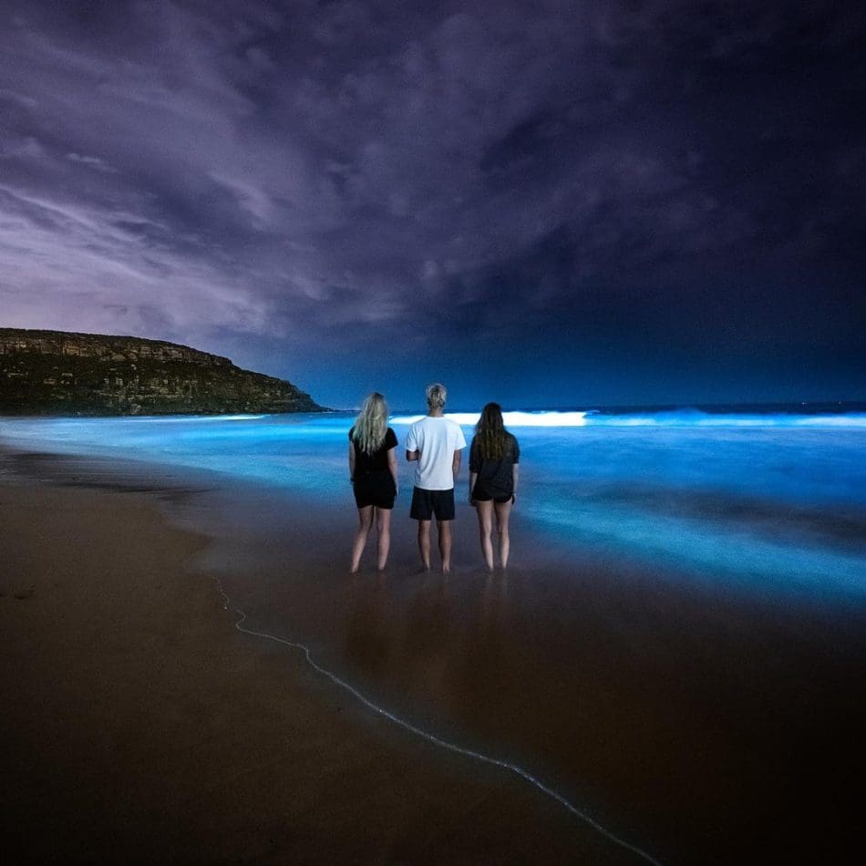 Sydney's northern beaches glowing a majestic shade of blue