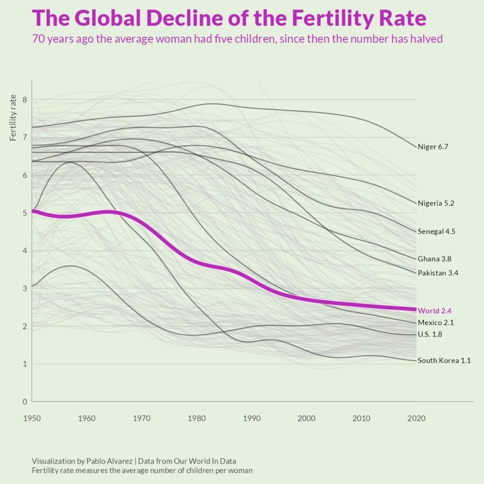 The world has 8 billion people, but soon we'll hit a decline we can't reverse.